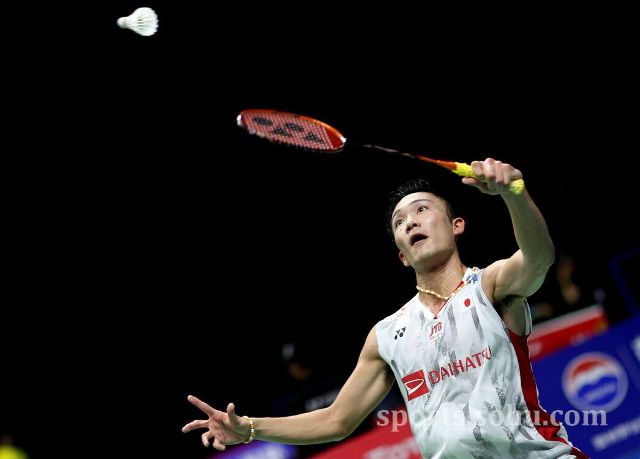 热爱体育的 热爱体育的